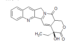 喜樹(shù)堿